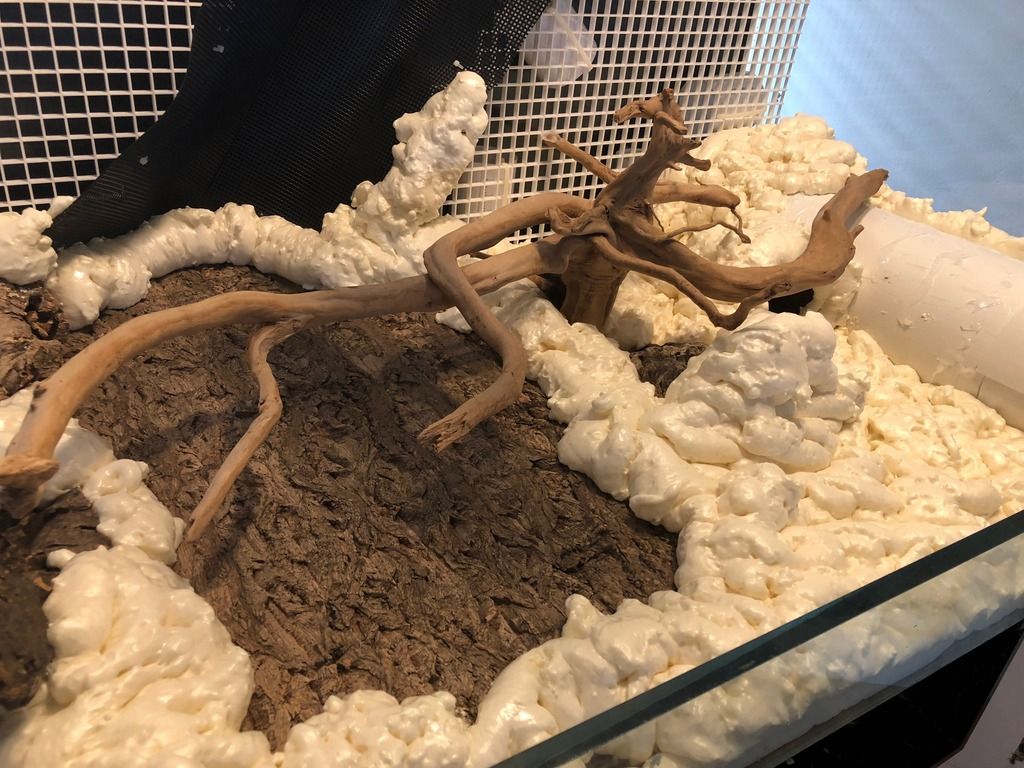 Dave's 130g Vivarium build... Dendroboard